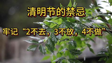 清明节的禁忌|清明节的10大禁忌：“1不买、2不借、3不穿、4不做”！